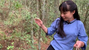 南方之子,探寻地域文化的瑰宝与传承