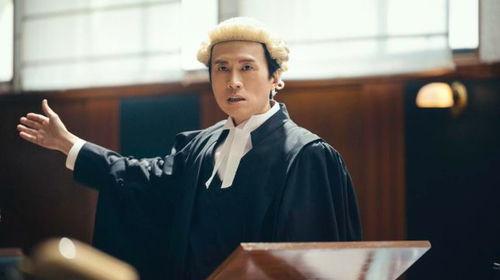 毒舌律师,法庭上的麻辣辩护，正义与真相的较量